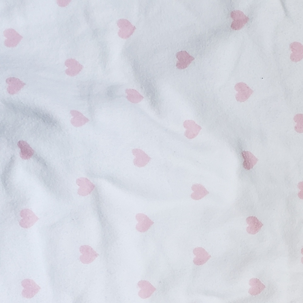 Potter Barn Kids FLANNEL Twin Sheets